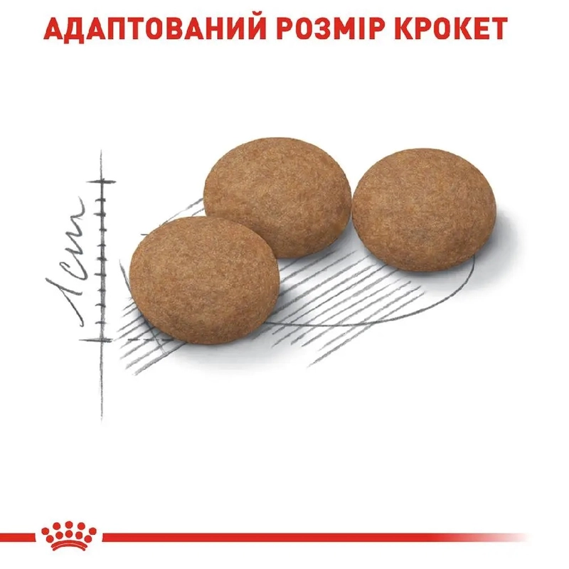 Royal Canin Ageing 12+ Sterilised СУХИЙ КОРМ Супер-преміум коти (для літніх стерилізованих) 2 кг  - фото 1