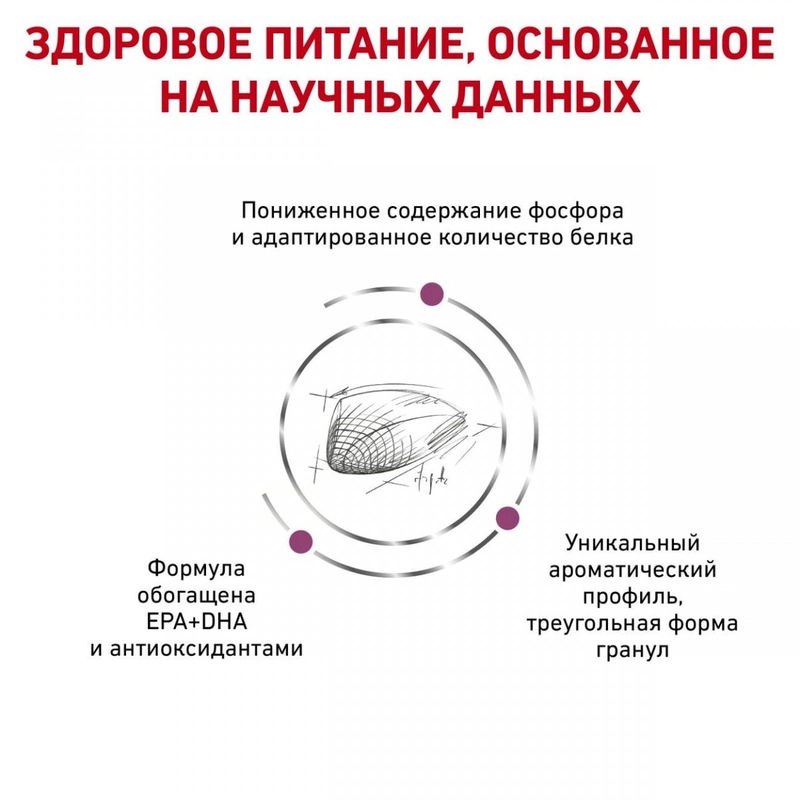 Royal Canin Renal Special СУХИЙ КОРМ Холістік коти (при захворюваннях нирок) 400 г  - фото 5
