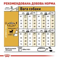 Royal Canin Chihuahua ADULT сухий корм для собак породи чихуахуа 500 г (3182550718813)  - фото 4