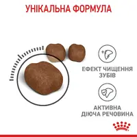 Royal Canin Dental Care сухий корм для котів для запобігання зубному нальоту 400 г (3182550717175)  - фото 1