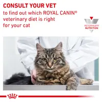 Royal Canin Calm СУХИЙ КОРМ Холістік коти (для заспокоєння) 2 кг  - фото 5
