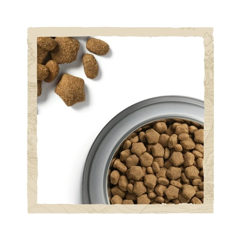 Dog Chow Sensetive ADULT 1+ сухий корм для собак з чутливим травленням 2.5 кг - з лососем (7613034488268)  - фото 2