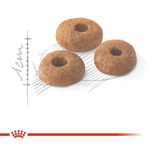 Royal Canin Fit Regular сухий корм для котів активних 400 г (3182550702157)