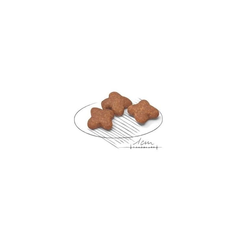 Royal Canin MINI ADULT 8+ СУХИЙ КОРМ Супер-преміум собаки дрібних порід (з куркою) 0.8 кг  - фото 1