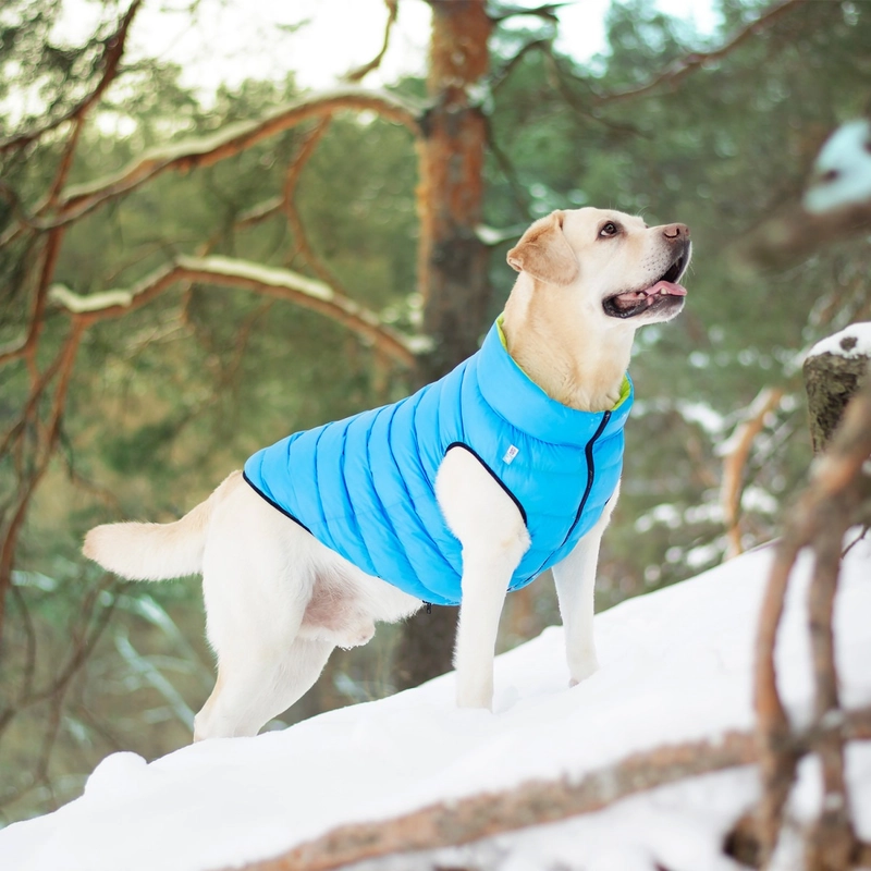 AiryVest куртка двостороння для собак M 50 - салатово-блакитна (4823089300146)  - фото 4