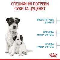 Royal Canin MINI STARTER сухой корм для щенков мелких пород 1 кг(3182550778657)  - фото 2