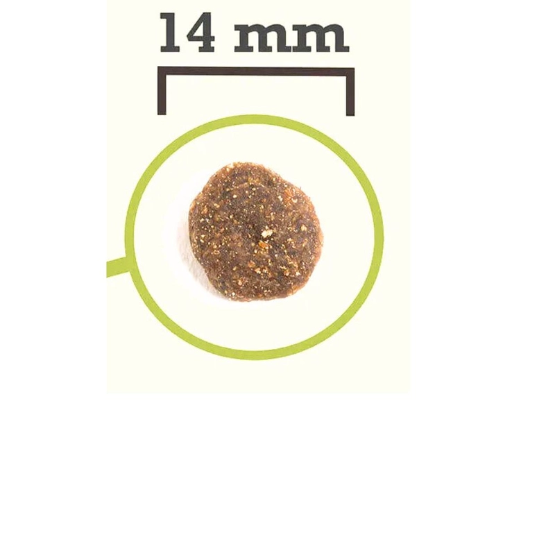 Acana GRASS-FED LAMB СУХИЙ КОРМ Холістік собаки (з ягням) 2 кг  - фото 1