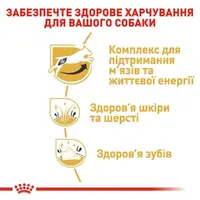 Royal Canin Jack Russel Adult сухой корм для собак 1.5 кг (3182550821414)  - фото 1