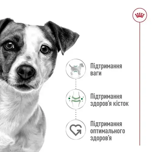 Royal Canin MINI ADULT ВОЛОГИЙ КОРМ Супер-преміум собаки дрібних порід (з м'ясом) 85 г