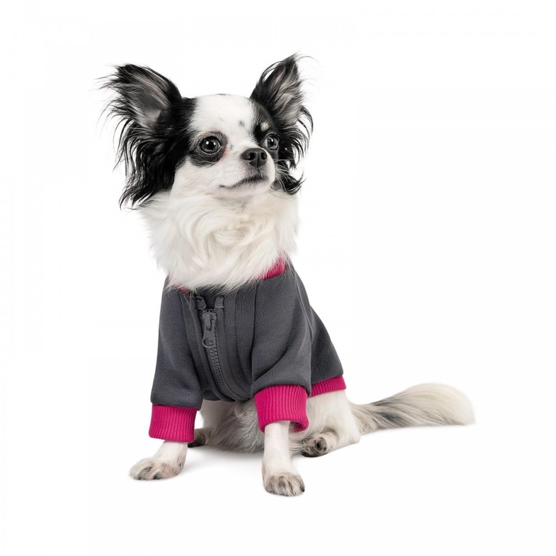Pet Fashion Bim толстовка для собак M - сіра (4823082430314)  - фото 2