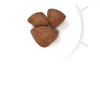 Royal Canin MINI STARTER сухой корм для щенков мелких пород 1 кг(3182550778657)  - фото 1