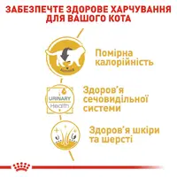 Royal Canin British Shorthair Adult влажный корм для кошек 85 г (9003579001257)  - фото 2