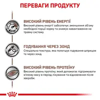 Royal Canin Recovery ВОЛОГИЙ КОРМ Холістік коти (для відновлення) 195 г  - фото 1