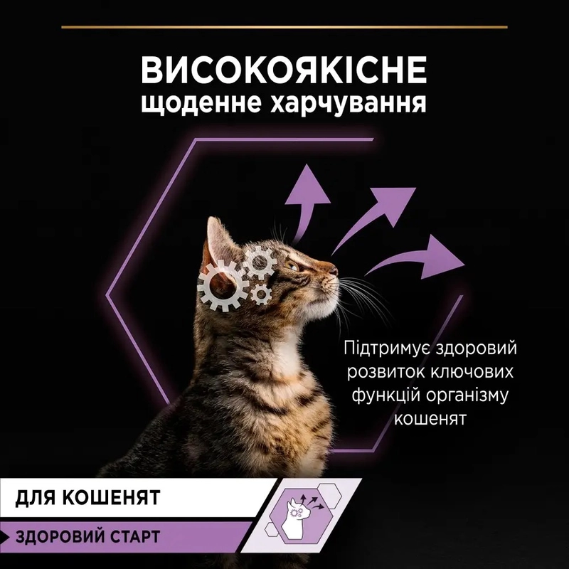 Purina Pro Plan Kitten Healthy Start влажный корм для котят 85 г - с индейкой (7613036093453)  - фото 1