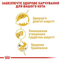 Royal Canin Persian Adult СУХИЙ КОРМ Супер-преміум коти перської породи (з м'ясом) 2 кг  - фото 2