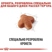 Royal Canin Jack Russel Adult сухой корм для собак 1.5 кг (3182550821414)  - фото 2