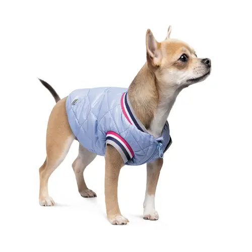 Pet Fashion Spike бомбер для собак XL - блакитний (4823082430185)