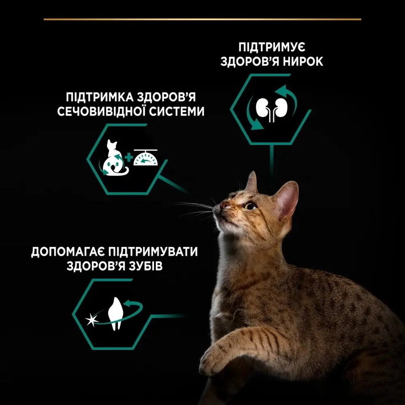 Purina Pro Plan Sterilised Adult 1+ Renal Plus сухий корм для стерилізованих котів 400 г - з індичкою (7613033564673)  - фото 2