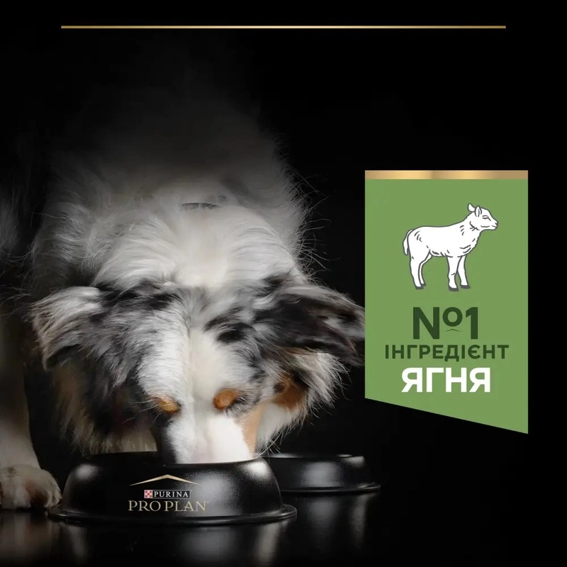 Purina Pro Plan Medium Adult Sensitive Digestion сухой корм для собак средних пород с чувствительным пищеварением 14 кг - с ягненком (7613035214774)  - фото 3