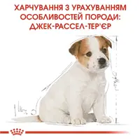 Royal Canin Jack Russel Terrier Puppy сухой корм для щенков 1.5 кг (3182550822121)  - фото 1