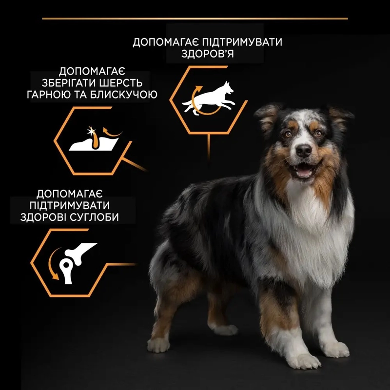 Purina Pro Plan Medium ADULT 1+ Everyday Nutrition СУХИЙ КОРМ Супер-преміум собаки середніх порід (з куркою) 3 кг  - фото 3