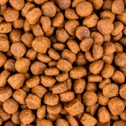 Farmina N&D Pup M&M G-F PUMPKIN L&B СУХ. КОРМ Хол. цуц. сер. та вел.порід (з ягням та чорницею) 12 кг
