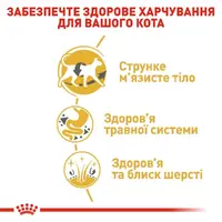 Royal Canin Siamese Adult сухой корм для кошек 400 г (3182550710671)  - фото 2