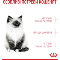 Royal Canin Kitten сухий корм для кошенят 400 г (3182550702379)  - фото 8