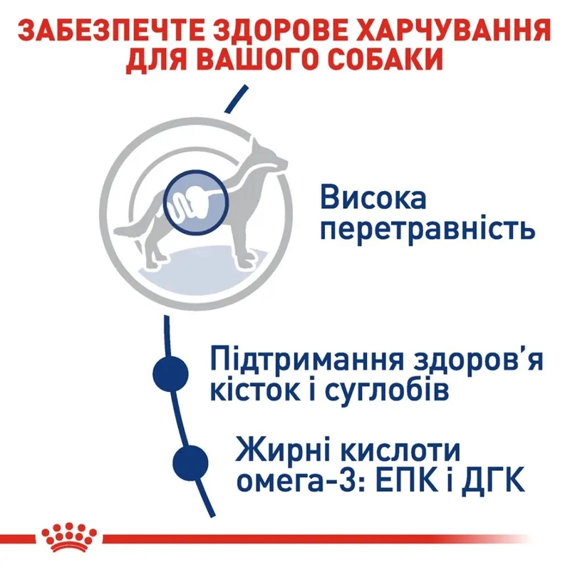 Royal Canin MAXI ADULT L сухий корм для дорослих собак великих порід 15 кг(3182550401937)  - фото 1