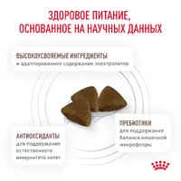 Royal Canin Gastrointestinal Kitten СУХИЙ КОРМ Холістік кошенята (при розладах травлення) 400 г  - фото 1