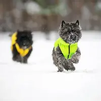 AiryVest куртка двостороння для собак M 50 - салатово-чорна (4823089304380)  - фото 4