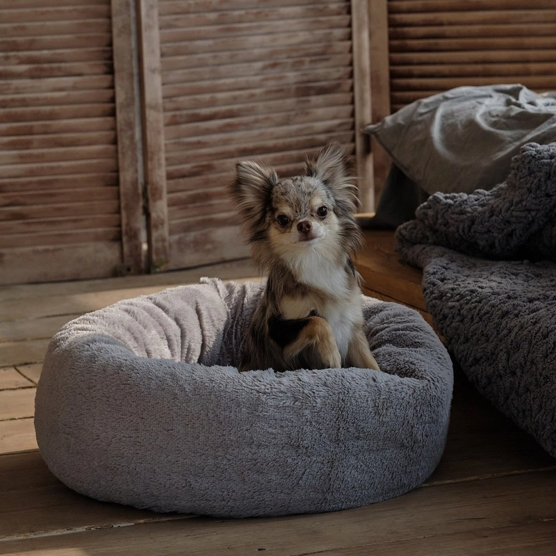 Лежак для собак Pet Fashion Soft круглый серый 48х48х17 см (4823082417896)  - фото 2
