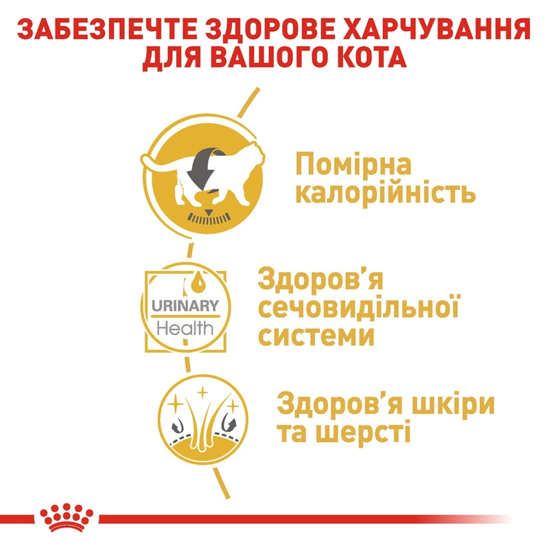 Royal Canin British Shorthair Adult влажный корм для кошек 85 г (9003579001257)  - фото 2