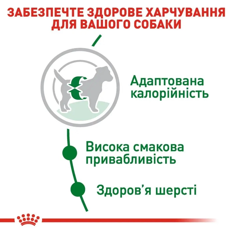 Royal Canin MINI ADULT S сухий корм для собак дрібних порід 2 кг (3182551055696)  - фото 1