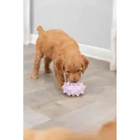Игрушка для собак Trixie Кольцо игольчатое латекс 8 см (4011905356129)  - фото 1