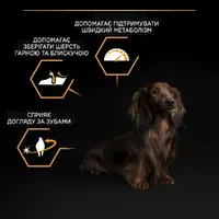 Purina Pro Plan Small & MINI Puppy ADULT Everyday Nutrition ChickenI СУХИЙ КОРМ Супер-преміум собаки малих порід (з куркою) 3 кг  - фото 4