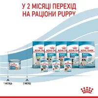 Royal Canin Starter Mousse CANS ВОЛОГИЙ КОРМ Супер-преміум собаки (з м'ясом) 195 г  - фото 4