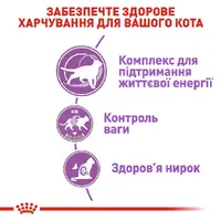 Royal Canin Sterilised 7+ сухой корм для стерилизованных кошек 1.5 кг (3182550784566)  - фото 2