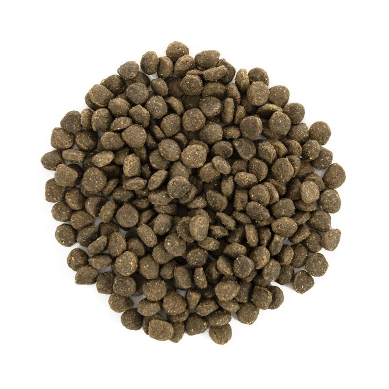 Brit Care MINI Grain-Free ADULT Lamb сухий корм для собак дрібних порід беззерновий 400 г - з ягням (8595602520114)  - фото 2