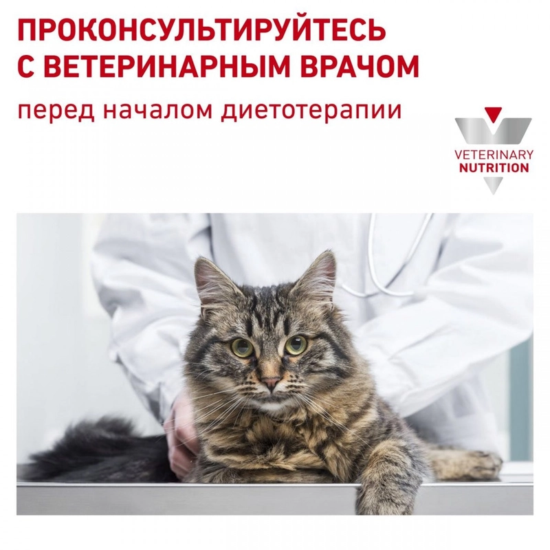 Royal Canin Renal Special СУХИЙ КОРМ Холістік коти (при захворюваннях нирок) 400 г  - фото 6