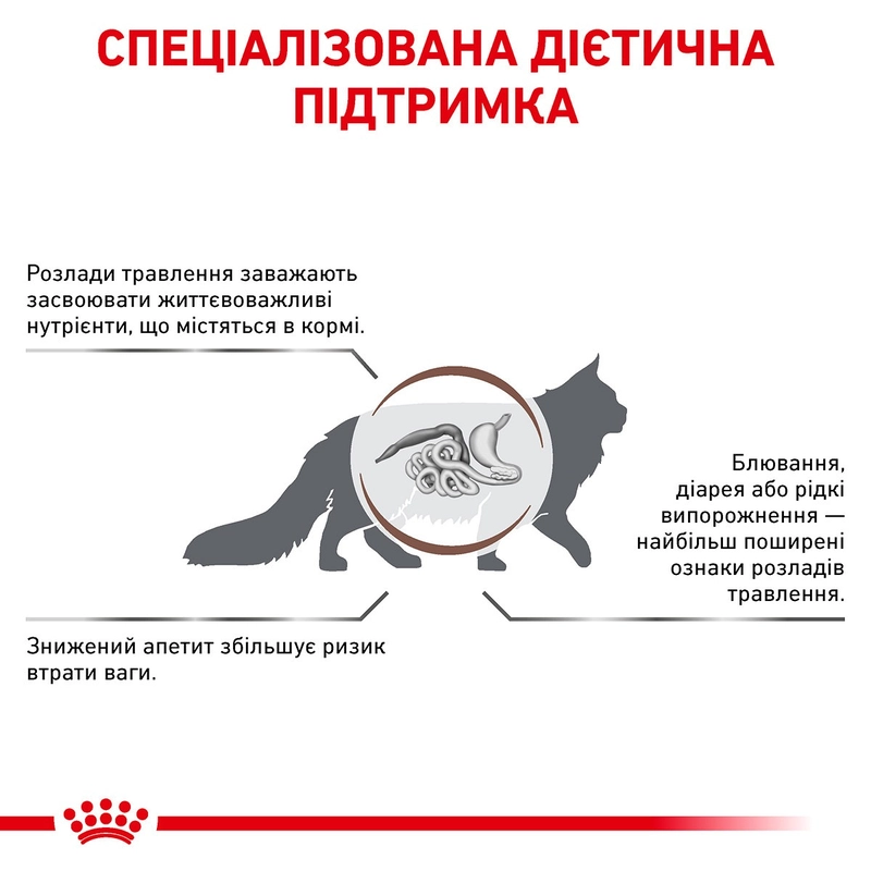Royal Canin Gastrointestinal сухий корм для котів при розладах травлення 400 г (3182550771245)  - фото 2
