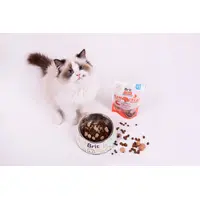 Brit Care Raw Treat Indoor Antistress ЛАСОЩІ Супер-преміум коти (з куркою) 40 г  - фото 2