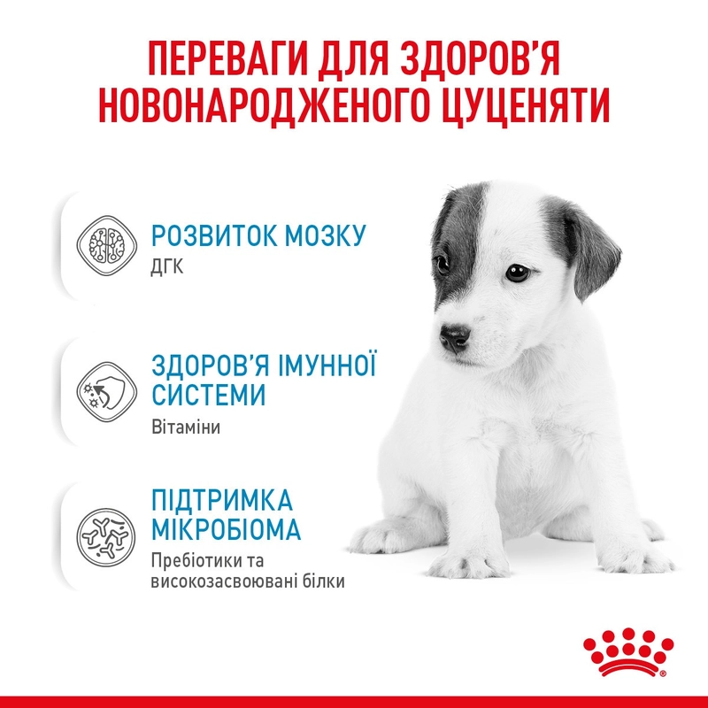 Royal Canin Babydog Milk заменитель молока для щенков 400 г (3182550768658)  - фото 2