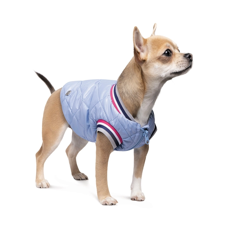 Pet Fashion Spike бомбер для собак M - блакитний (4823082430239) 