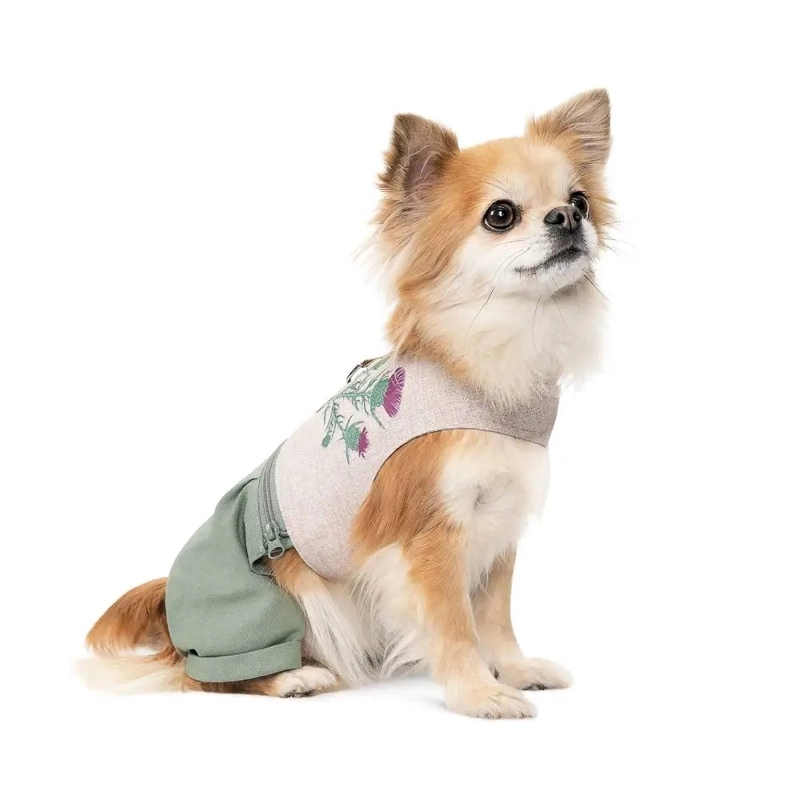 Pet Fashion Patrik шлея-костюм для собак XS (4823082434398) 