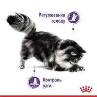 Royal Canin Appetite Control Care ВОЛОГИЙ КОРМ Супер-преміум коти (для контролю апетиту) 85 г  - фото 4