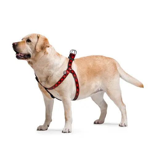 WAUDOG Nylon шлея для собак L - з QR-паспортом, з малюнком Шотландка червона, нейлонова (4823089317595)