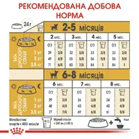 Royal Canin Chihuahua Puppy сухий корм для цуценят породи чихуахуа 500 г (3182550722537)  - фото 4