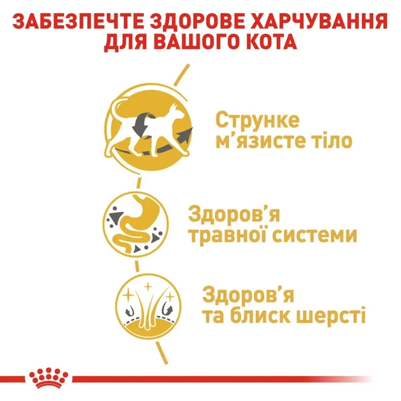 Royal Canin Siamese Adult сухой корм для кошек 400 г (3182550710671)  - фото 2