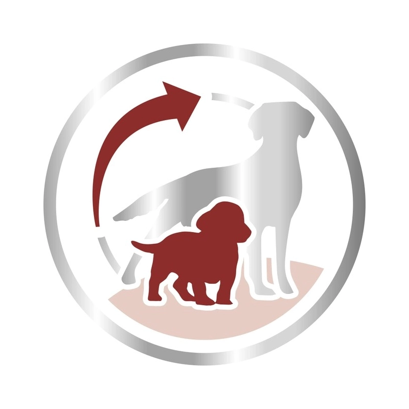 Royal Canin Medium Starter Mother & Babydog сухой корм для щенков 1 кг (3182550778718)  - фото 2